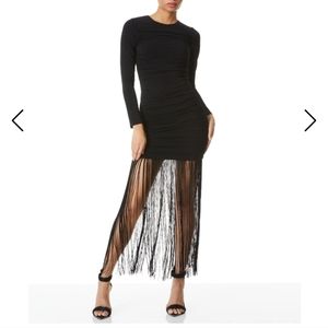 Alice and Olivia Long sleeve dress with fringe